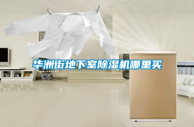 華洲街地下室除濕機哪里買(mǎi)