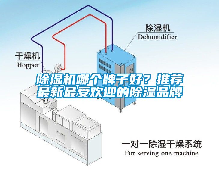 除濕機哪個(gè)牌子好？推薦最新最受歡迎的除濕品牌