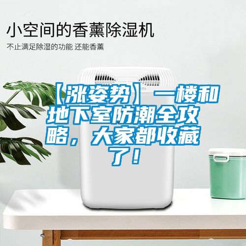 【漲姿勢】一樓和地下室防潮全攻略，大家都收藏了！