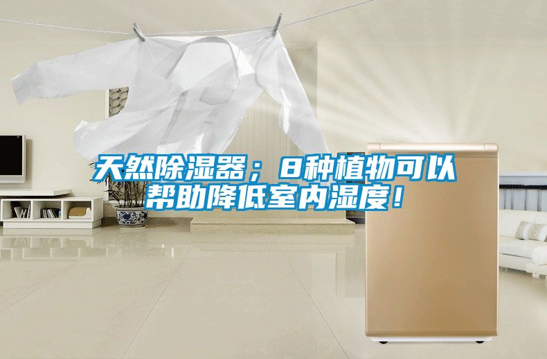 天然除濕器；8種植物可以幫助降低室內濕度！