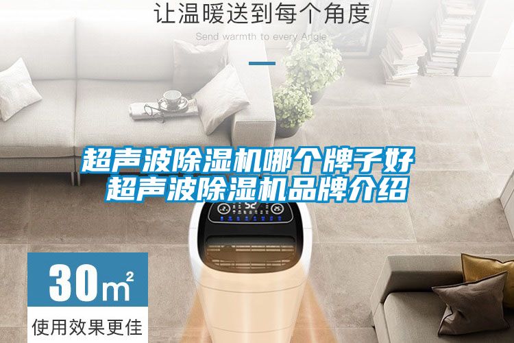 超聲波除濕機哪個(gè)牌子好 超聲波除濕機品牌介紹