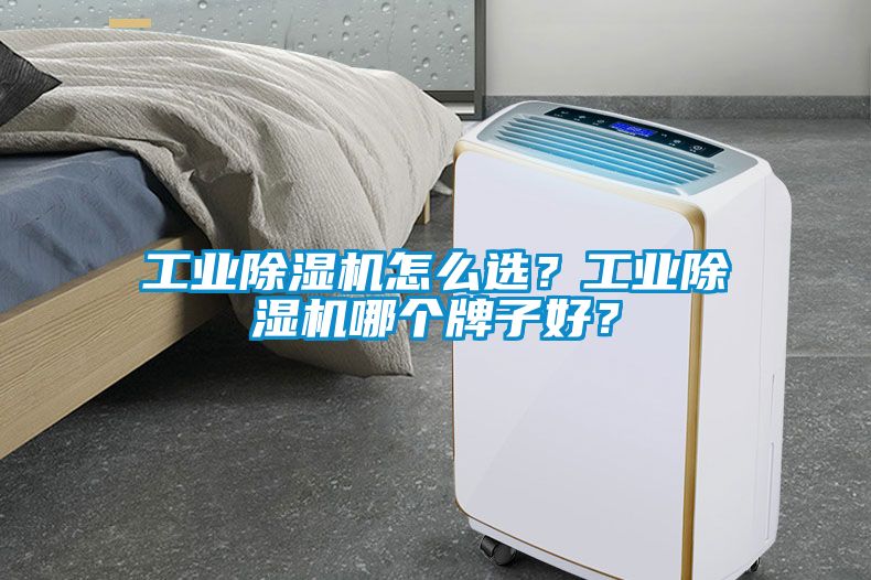 工業(yè)除濕機怎么選？工業(yè)除濕機哪個(gè)牌子好？