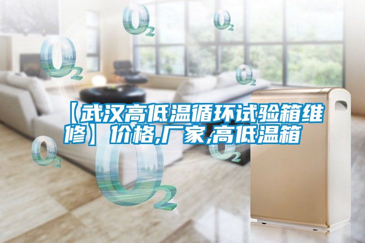 【武漢高低溫循環(huán)試驗箱維修】?jì)r(jià)格,廠(chǎng)家,高低溫箱