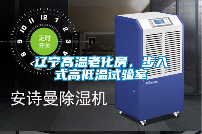 遼寧高溫老化房，步入式高低溫試驗室