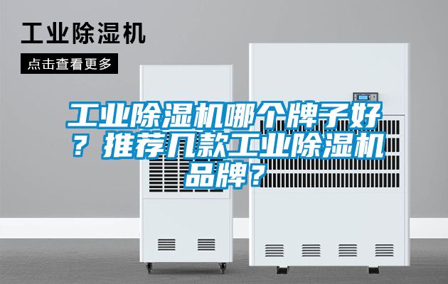 工業(yè)除濕機哪個(gè)牌子好？推薦幾款工業(yè)除濕機品牌？