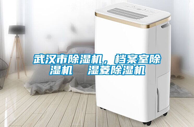 武漢市除濕機，檔案室除濕機  濕菱除濕機