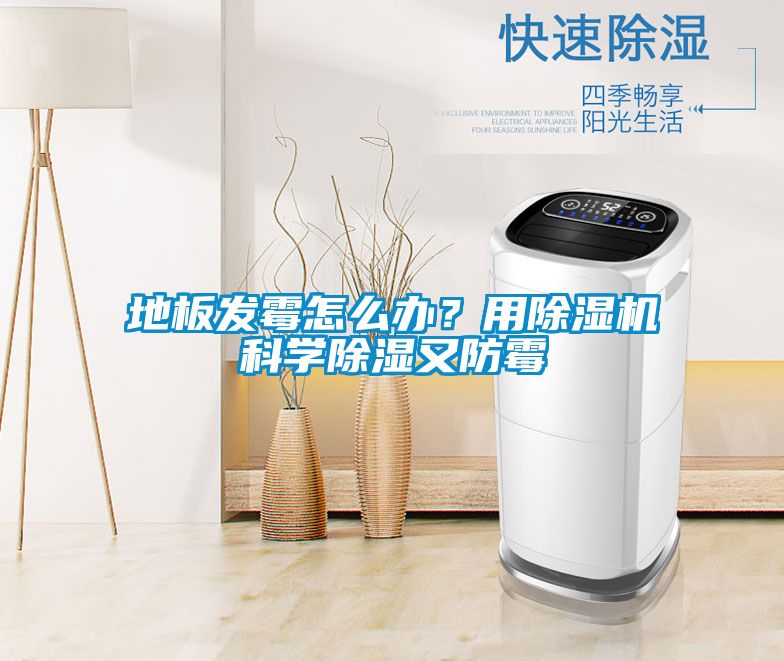 地板發(fā)霉怎么辦？用除濕機科學(xué)除濕又防霉