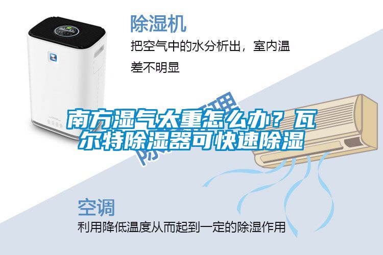南方濕氣太重怎么辦？瓦爾特除濕器可快速除濕