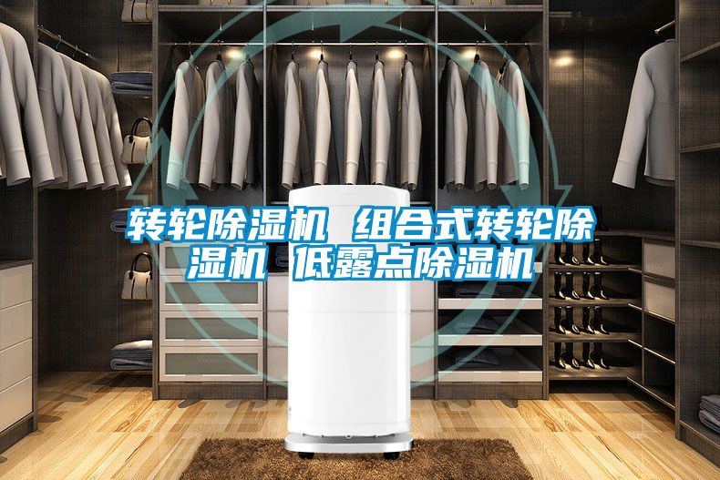 轉輪除濕機 組合式轉輪除濕機 低露點(diǎn)除濕機