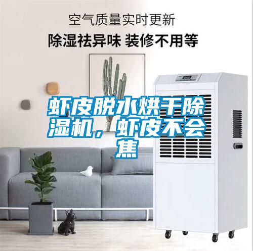 蝦皮脫水烘干除濕機，蝦皮不會(huì )焦