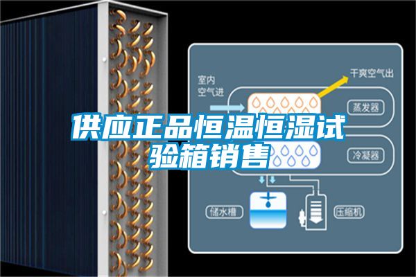供應正品恒溫恒濕試驗箱銷(xiāo)售