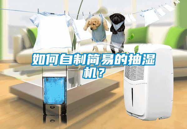 如何自制簡(jiǎn)易的抽濕機？
