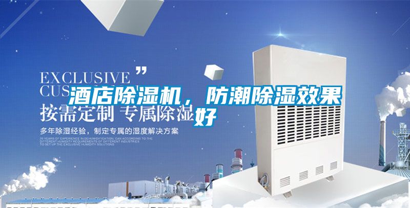 酒店除濕機，防潮除濕效果好