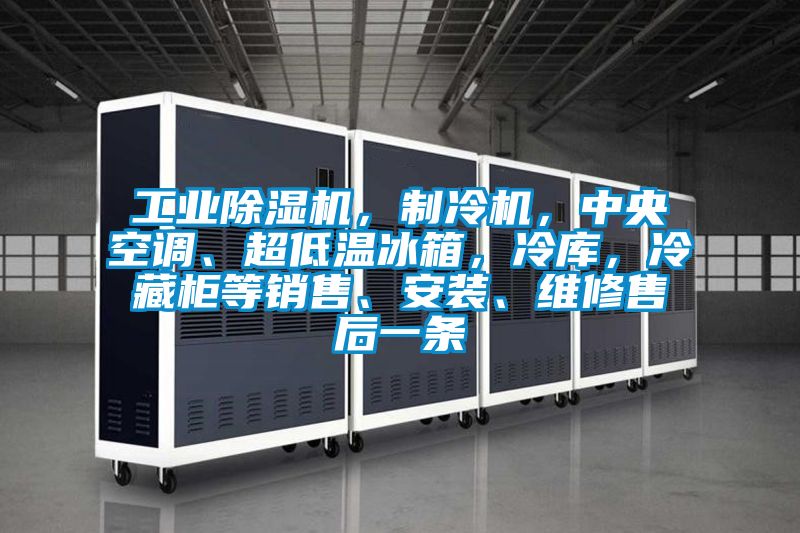 工業(yè)除濕機，制冷機，中央空調、超低溫冰箱，冷庫，冷藏柜等銷(xiāo)售、安裝、維修售后一條