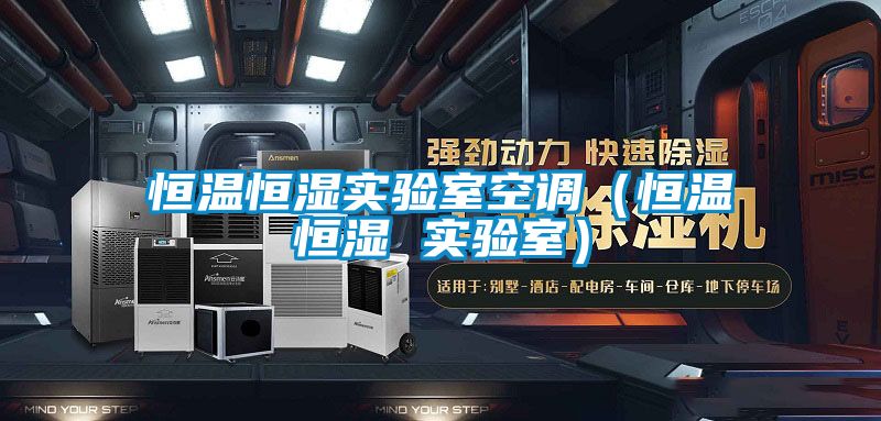 恒溫恒濕實(shí)驗室空調（恒溫恒濕 實(shí)驗室）