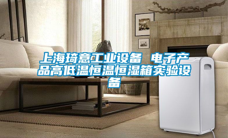 上海琦意工業(yè)設備 電子產(chǎn)品高低溫恒溫恒濕箱實(shí)驗設備