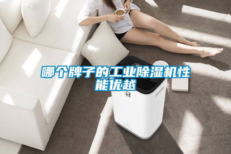 哪個(gè)牌子的工業(yè)除濕機性能優(yōu)越