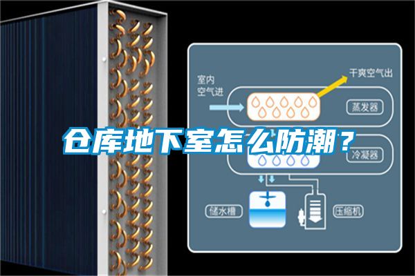 倉庫地下室怎么防潮？
