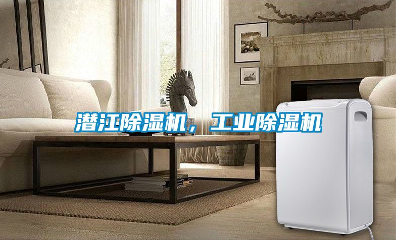 潛江除濕機，工業(yè)除濕機