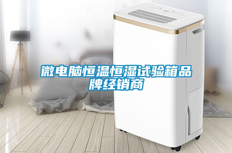 微電腦恒溫恒濕試驗箱品牌經(jīng)銷(xiāo)商