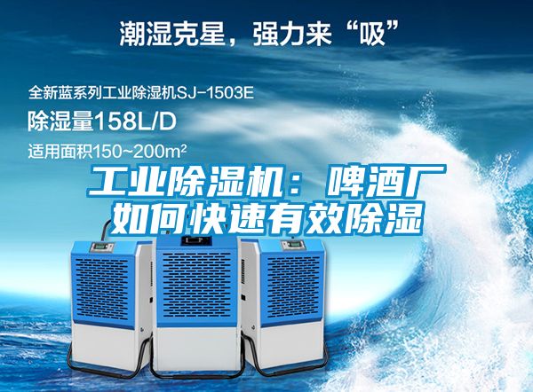 工業(yè)除濕機：啤酒廠(chǎng)如何快速有效除濕