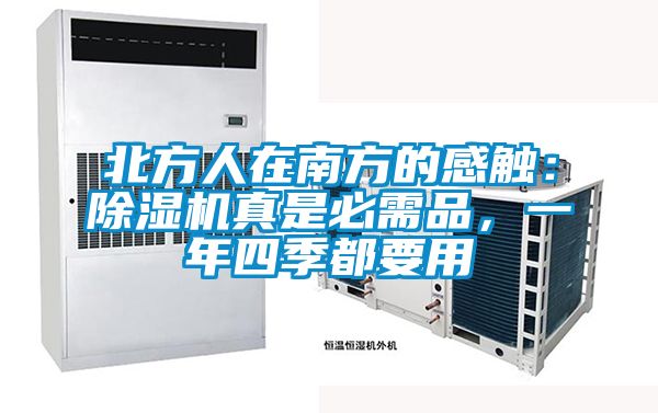 北方人在南方的感觸：除濕機真是必需品，一年四季都要用