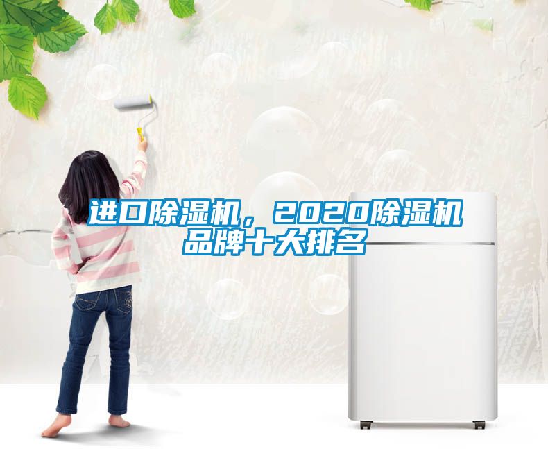 進(jìn)口除濕機，2020除濕機品牌十大排名