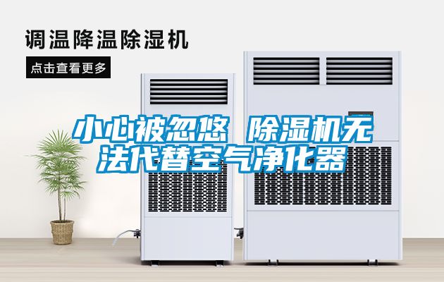 小心被忽悠 除濕機無(wú)法代替空氣凈化器