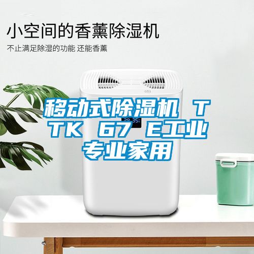 移動(dòng)式除濕機 TTK 67 E工業(yè)專(zhuān)業(yè)家用