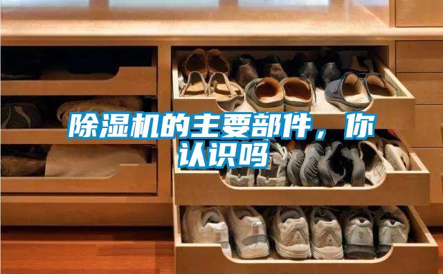 除濕機的主要部件，你認識嗎
