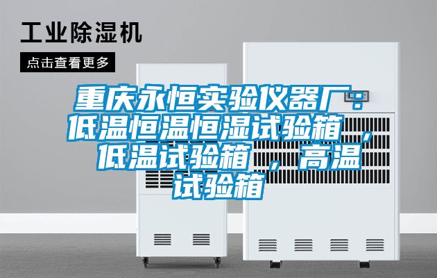 重慶永恒實(shí)驗儀器廠(chǎng)：低溫恒溫恒濕試驗箱 , 低溫試驗箱 , 高溫試驗箱