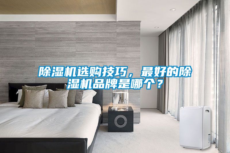 除濕機選購技巧，最好的除濕機品牌是哪個(gè)？