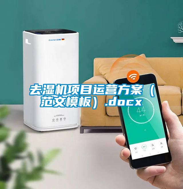去濕機項目運營(yíng)方案（范文模板）.docx