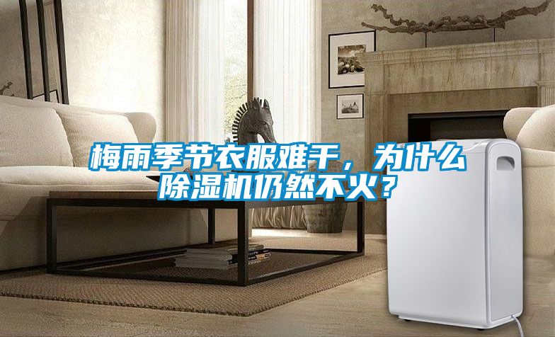 梅雨季節衣服難干，為什么除濕機仍然不火？