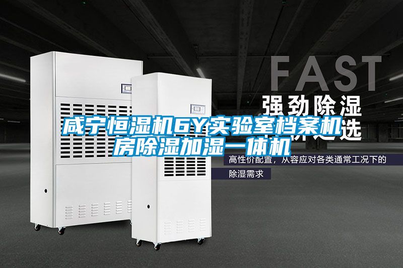 咸寧恒濕機6Y實(shí)驗室檔案機房除濕加濕一體機