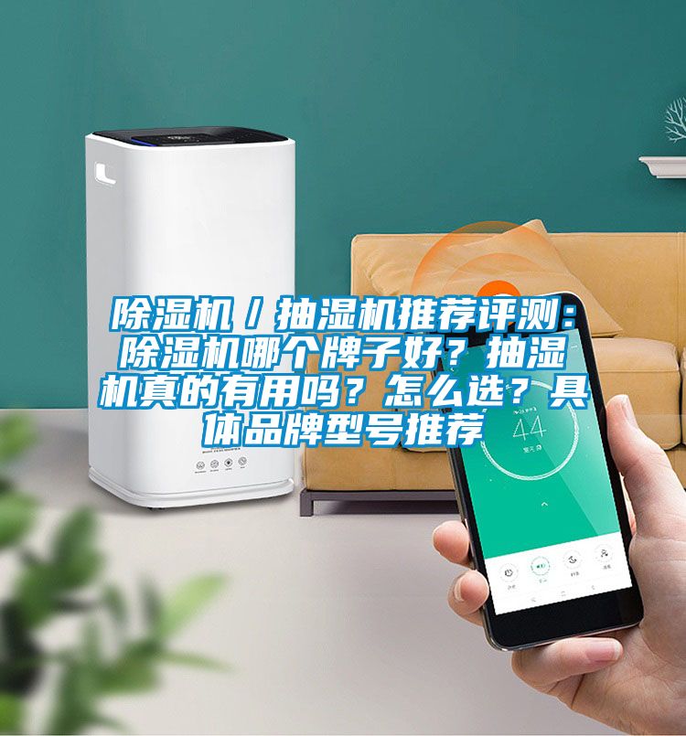 除濕機／抽濕機推薦評測：除濕機哪個(gè)牌子好？抽濕機真的有用嗎？怎么選？具體品牌型號推薦