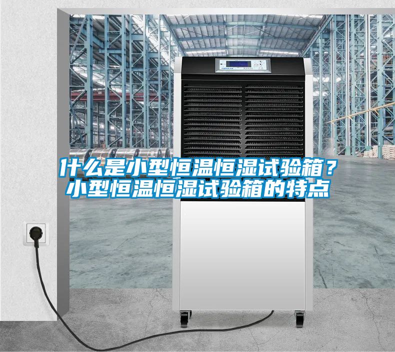 什么是小型恒溫恒濕試驗箱？小型恒溫恒濕試驗箱的特點(diǎn)