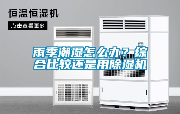 雨季潮濕怎么辦？綜合比較還是用除濕機