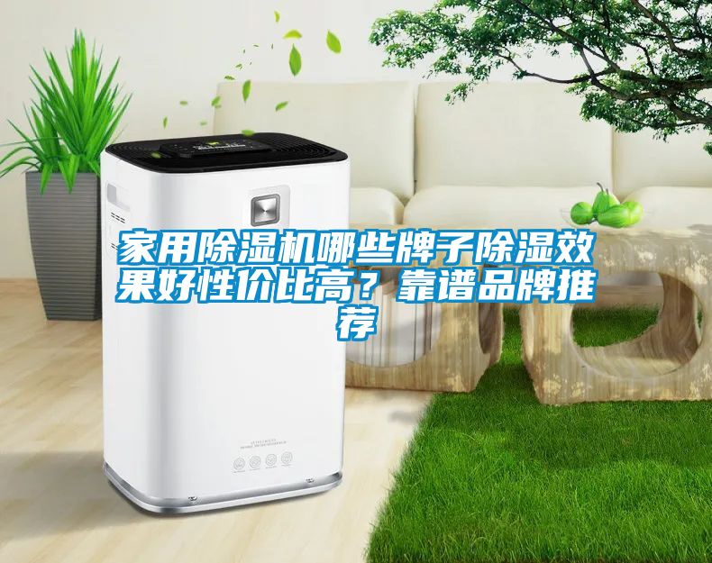 家用除濕機哪些牌子除濕效果好性?xún)r(jià)比高？靠譜品牌推薦