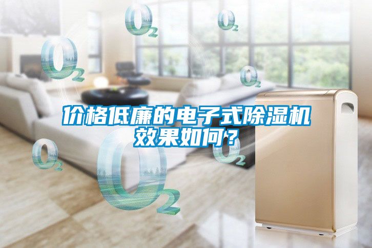 價(jià)格低廉的電子式除濕機效果如何？