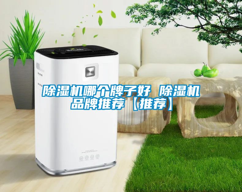 除濕機哪個(gè)牌子好 除濕機品牌推薦【推薦】