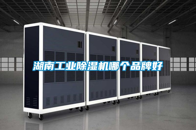 湖南工業(yè)除濕機哪個(gè)品牌好