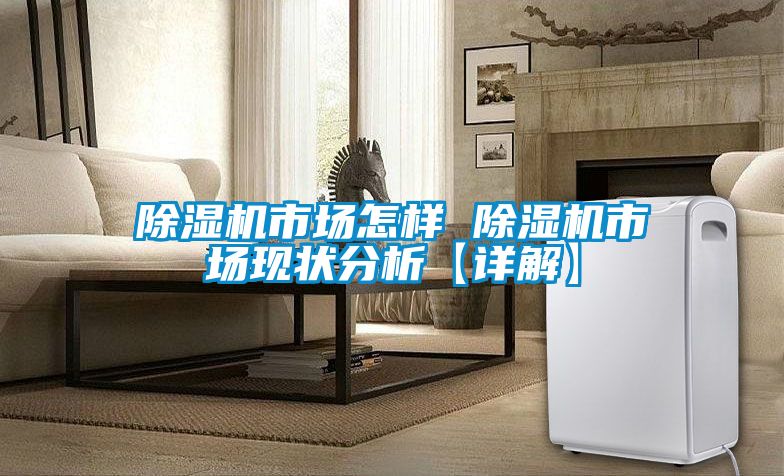 除濕機市場(chǎng)怎樣 除濕機市場(chǎng)現狀分析【詳解】