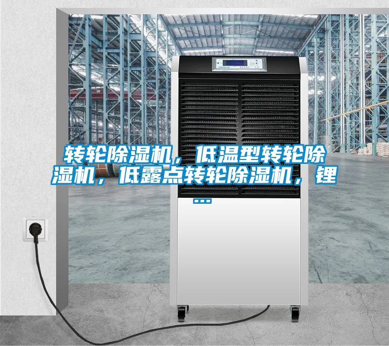 轉輪除濕機，低溫型轉輪除濕機，低露點(diǎn)轉輪除濕機，鋰 ...