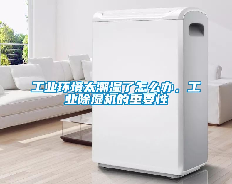 工業(yè)環(huán)境太潮濕了怎么辦，工業(yè)除濕機的重要性