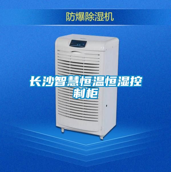 長(cháng)沙智慧恒溫恒濕控制柜