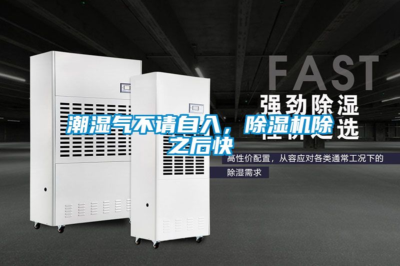 潮濕氣不請自入，除濕機除之后快