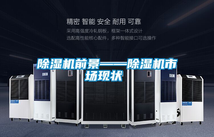 除濕機前景——除濕機市場(chǎng)現狀‍‍