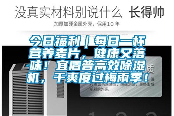 今日福利｜每日一杯營(yíng)養麥片，健康又落味！宜盾普高效除濕機，干爽度過(guò)梅雨季！
