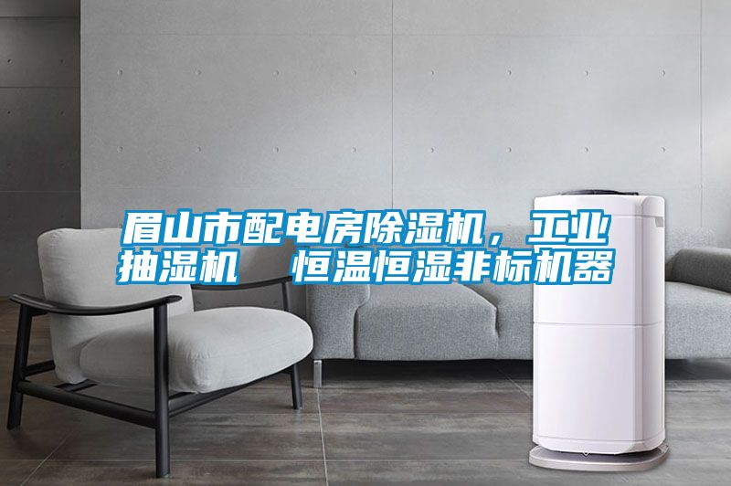眉山市配電房除濕機，工業(yè)抽濕機  恒溫恒濕非標機器